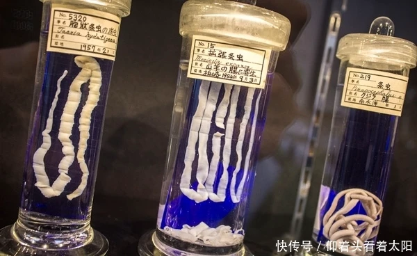 博物馆|全球最奇葩的6个博物馆，你听过几个？