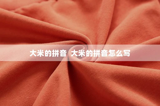 大米的拼音  大米的拼音怎么写