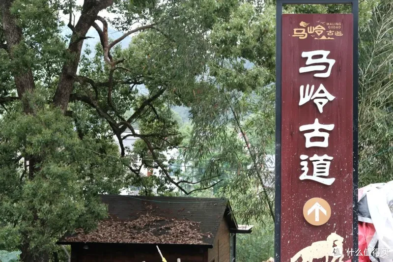 杭州自驾1h，一起去这座江南县城避暑吧~