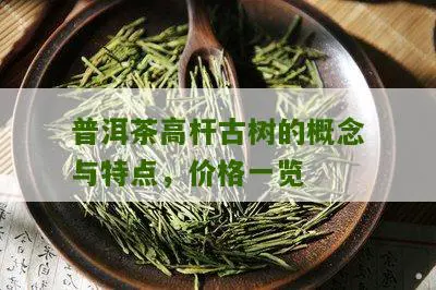 普洱茶高杆古树的概念与特点，价格一览