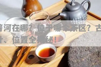 同箐河在哪？位于哪个茶区？古树、茶叶、位置全揭秘！