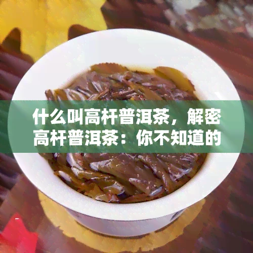 什么叫高杆普洱茶，解密高杆普洱茶：你不知道的茶叶秘密