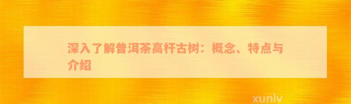深入了解普洱茶高杆古树：概念、特点与介绍
