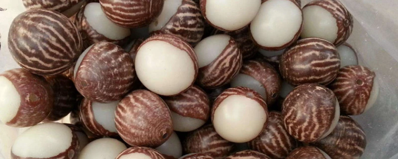 菩提根怎么打磨