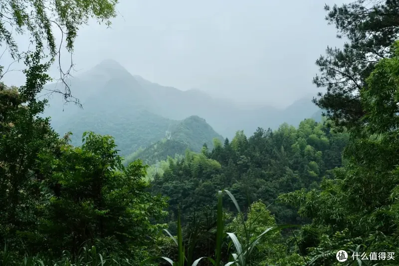 杭州自驾1h，一起去这座江南县城避暑吧~