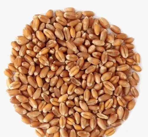 摘要:谷子皮和小麦皮都是人们熟悉的食物它们都具有营养价值和独特的口感但是它们之间有很大的不同