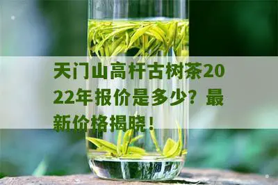 天门山高杆古树茶2022年报价是多少？最新价格揭晓！