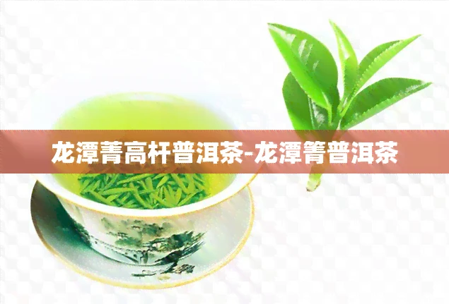 龙潭菁高杆普洱茶-龙潭箐普洱茶