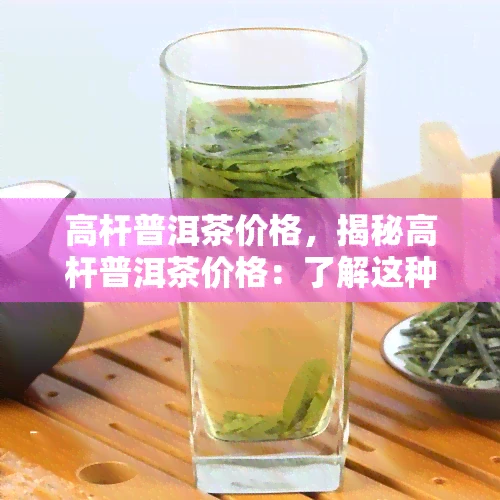 高杆普洱茶价格，揭秘高杆普洱茶价格：了解这种独特茶叶的市场价值