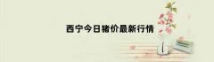 西宁今日猪价最新行情