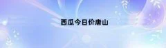 西瓜今日价唐山