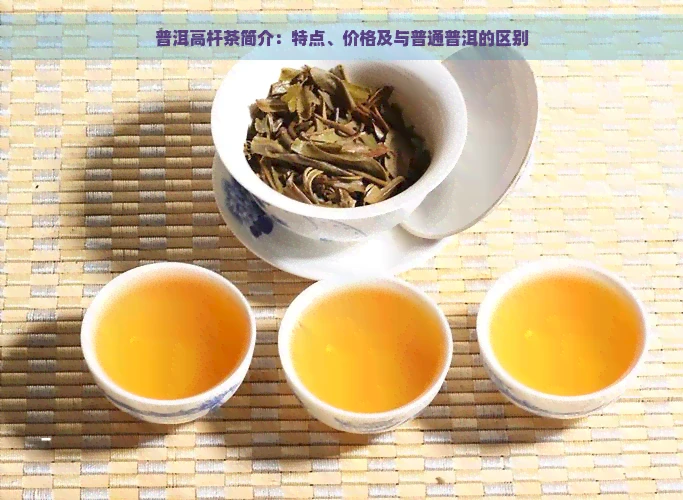普洱高杆茶简介：特点、价格及与普通普洱的区别