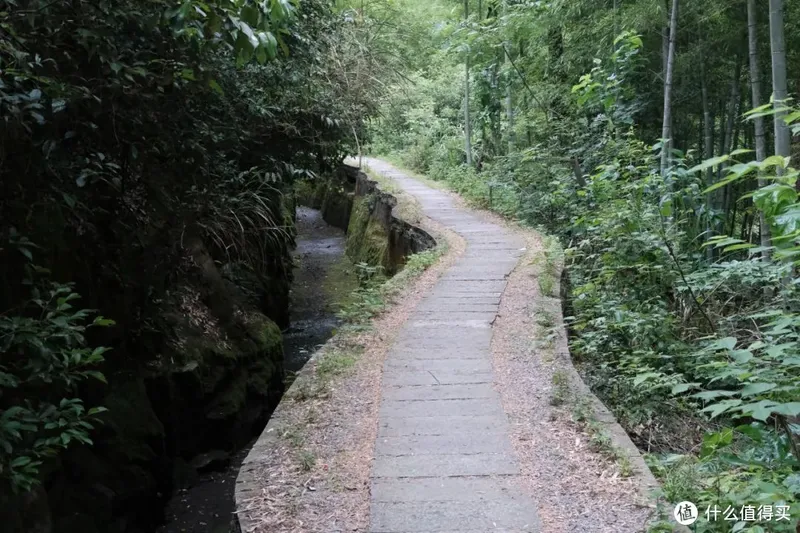 杭州自驾1h，一起去这座江南县城避暑吧~