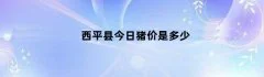 西平县今日猪价是多少