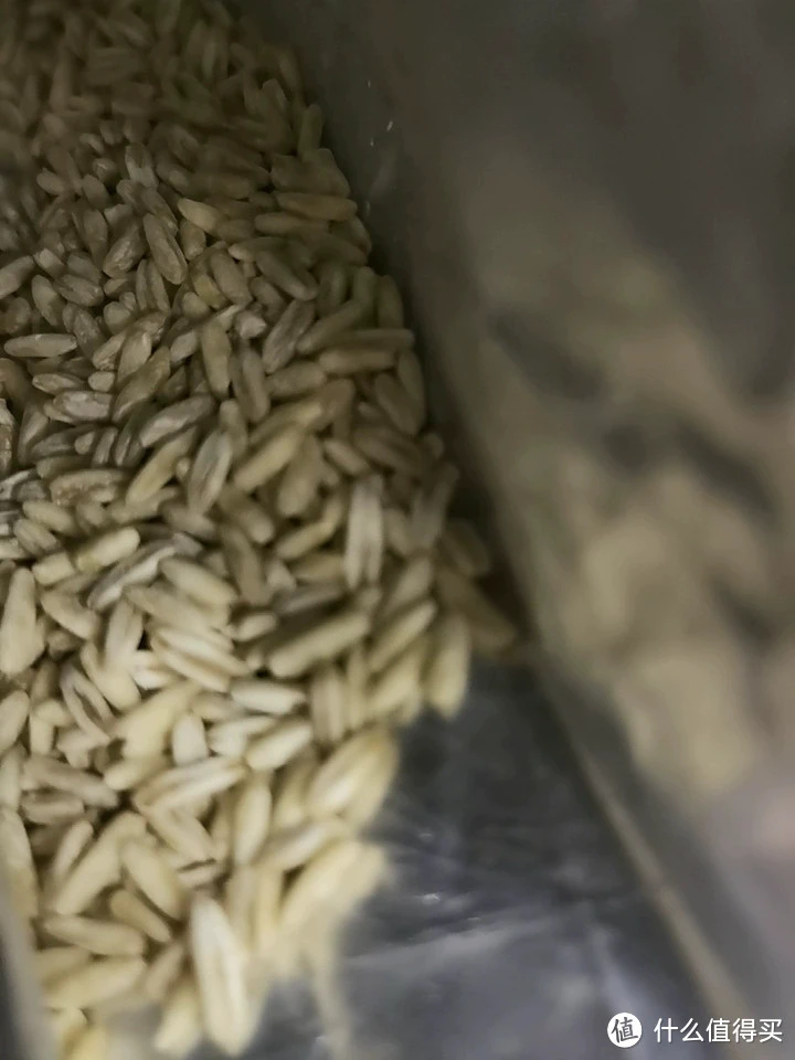 超级惊喜!💥超级美味!✨你绝对不能错过的三主粮裸燕麦米