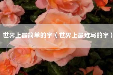 世界上最简单的字（世界上最难写的字）