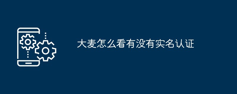 大麦实名认证