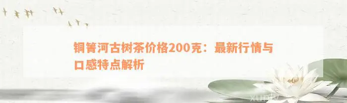 铜箐河古树茶价格200克：最新行情与口感特点解析