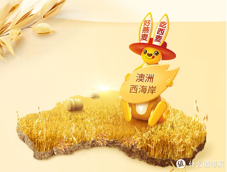 今天你吃了吗?如何吃出燕麦的美味和营养!篇二