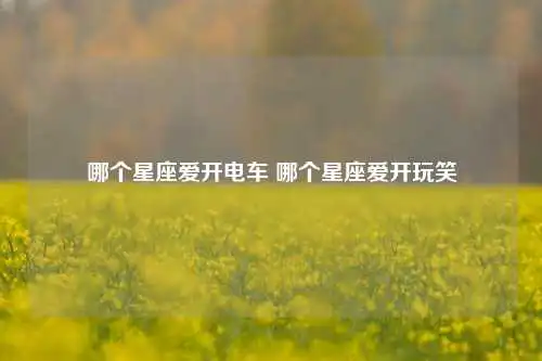 哪个星座爱开电车 哪个星座爱开玩笑
