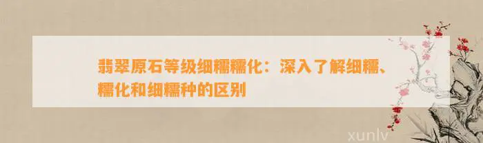 翡翠原石等级细糯糯化：深入了解细糯、糯化和细糯种的区别