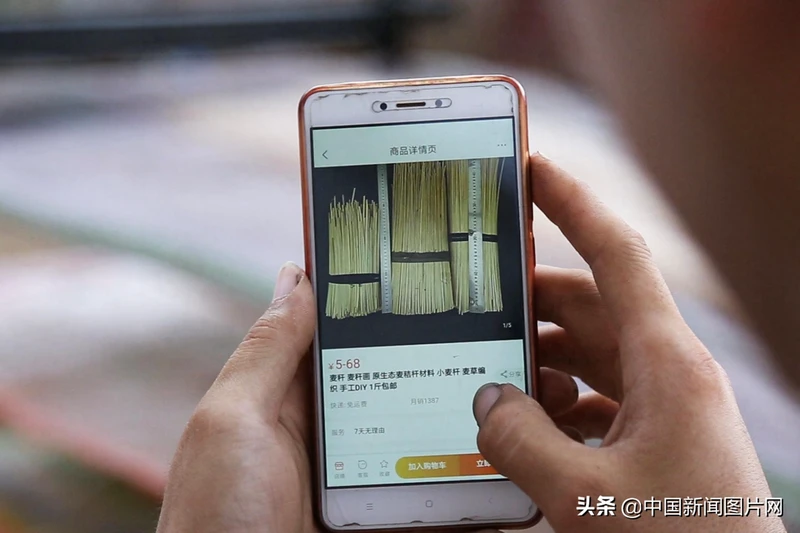 河南农村小伙用麦秸秆做吸管 月销百万根