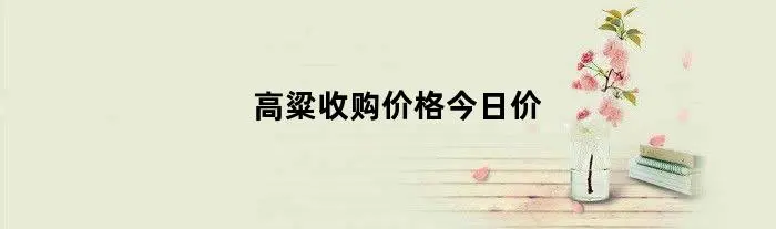 高粱收购价格今日价