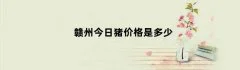 赣州今日猪价格是多少