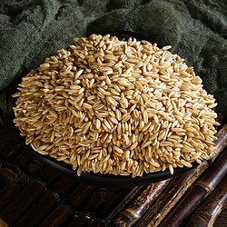 燕麦米 全胚芽燕麦粒生裸燕麦莜麦五谷杂粮粗粮500g