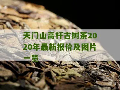 天门山高杆古树茶2020年最新报价及图片一览 天门山高杆古树茶2020年最新报价及图片一览