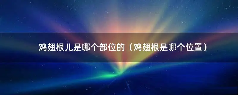 鸡翅根儿是哪个部位的（鸡翅根是哪个位置）