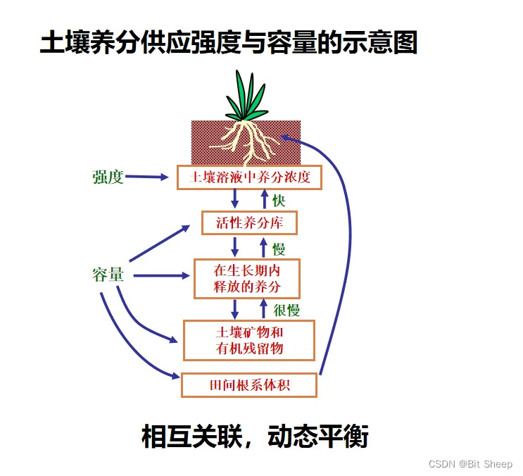 强度和容量的示意图