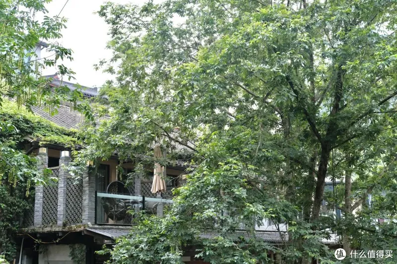 杭州自驾1h，一起去这座江南县城避暑吧~