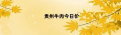贵州牛肉今日价