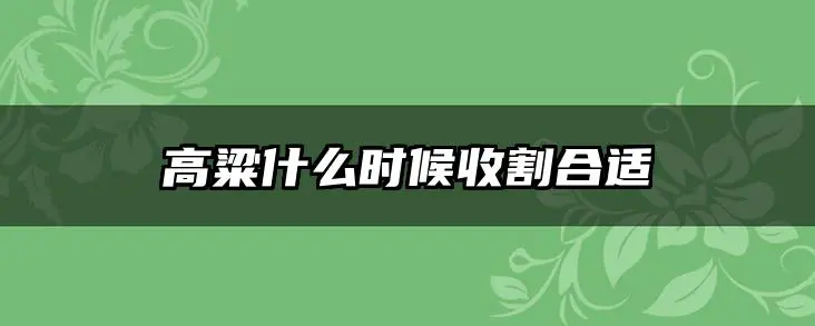 高粱什么时候收割合适