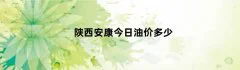 陕西安康今日油价多少