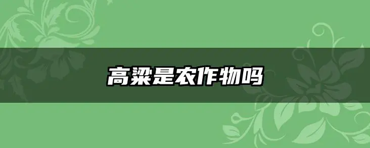 高粱是农作物吗