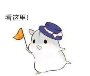 全国热门音乐节推荐指南（二）