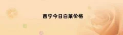 西宁今日白菜价格