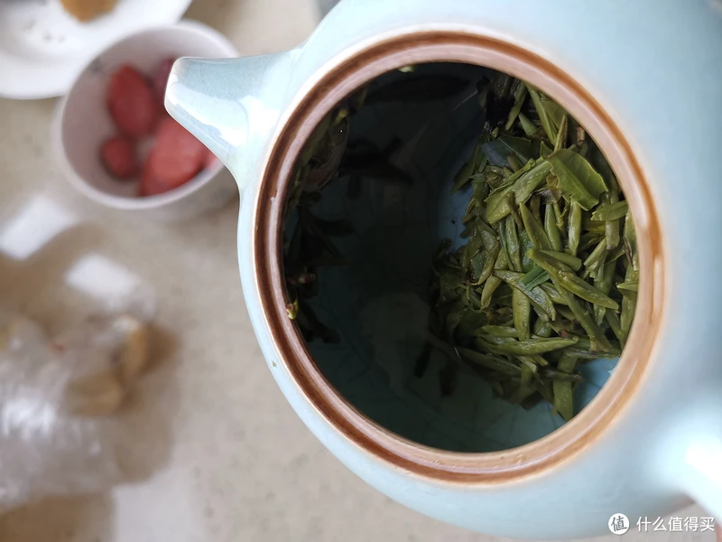 震惊!易武铜箐河殿堂级古树!嘎嘎嘎!