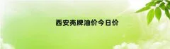 西安壳牌油价今日价