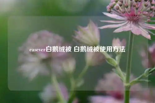easever白鹅绒被 白鹅绒被使用方法