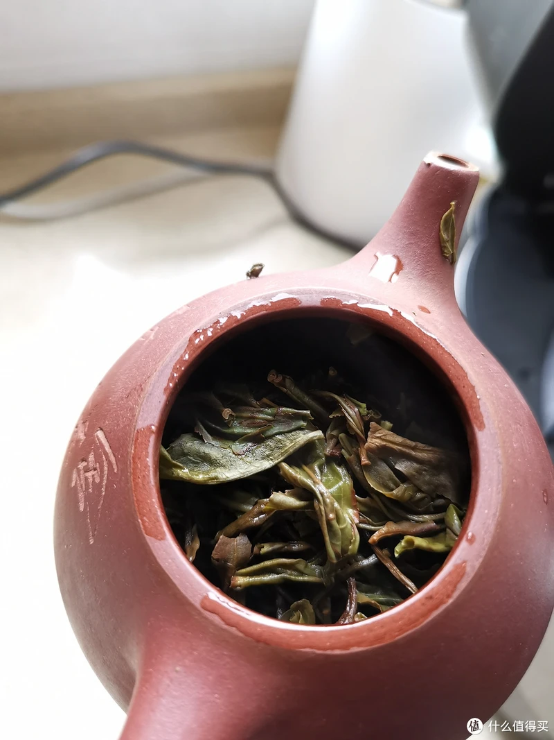 震惊!易武铜箐河殿堂级古树!嘎嘎嘎!