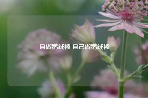 自做鹅绒被 自己做鹅绒被