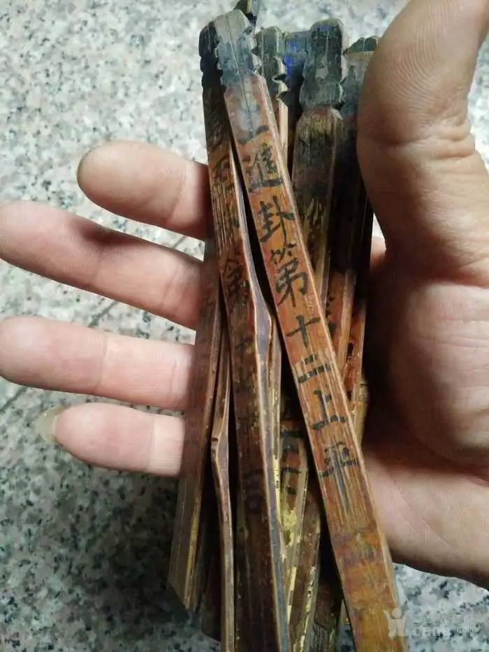 算命正根是什么意思