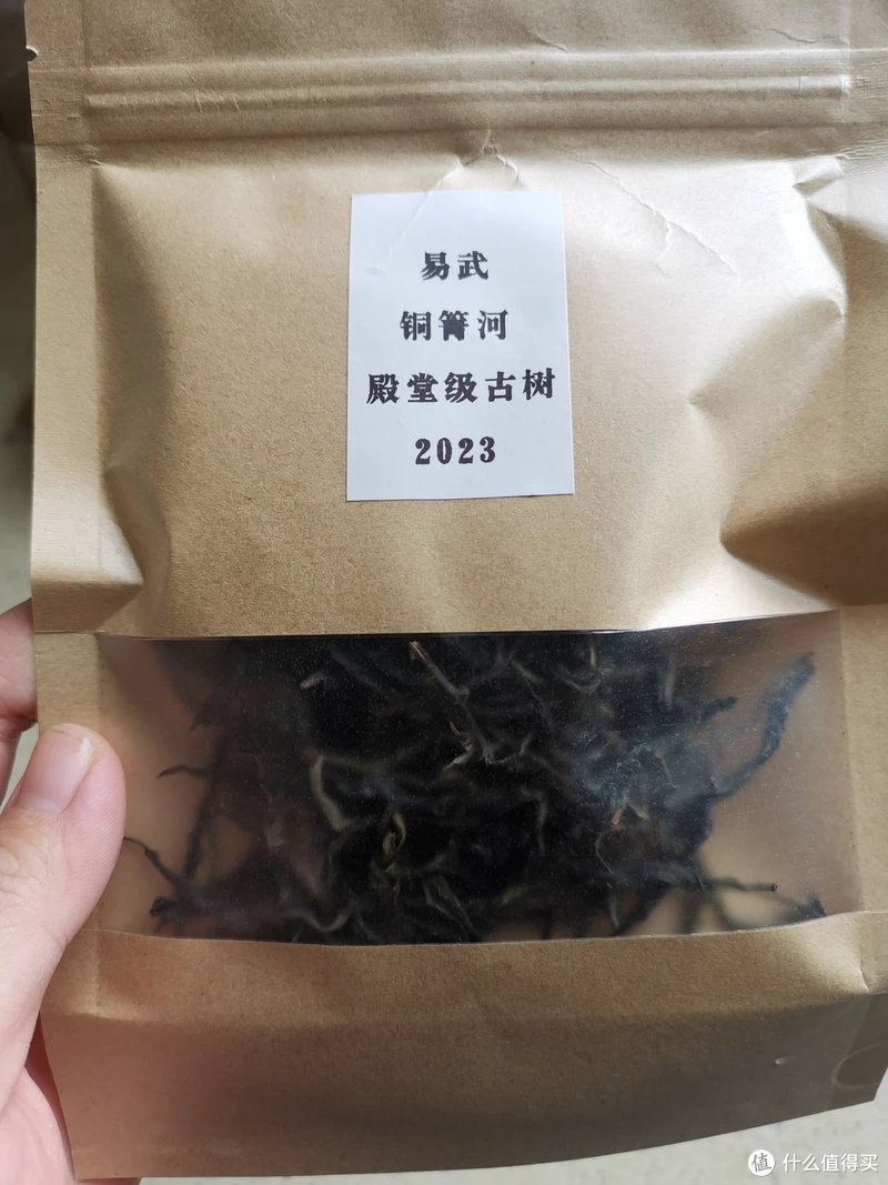 震惊!易武铜箐河殿堂级古树!嘎嘎嘎!