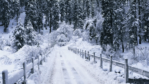为什么说没有看过莫奈的雪景，就不知道什么叫唯美~
