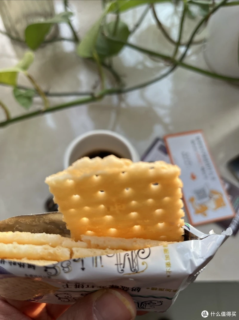 半球奶盐味苏打饼干