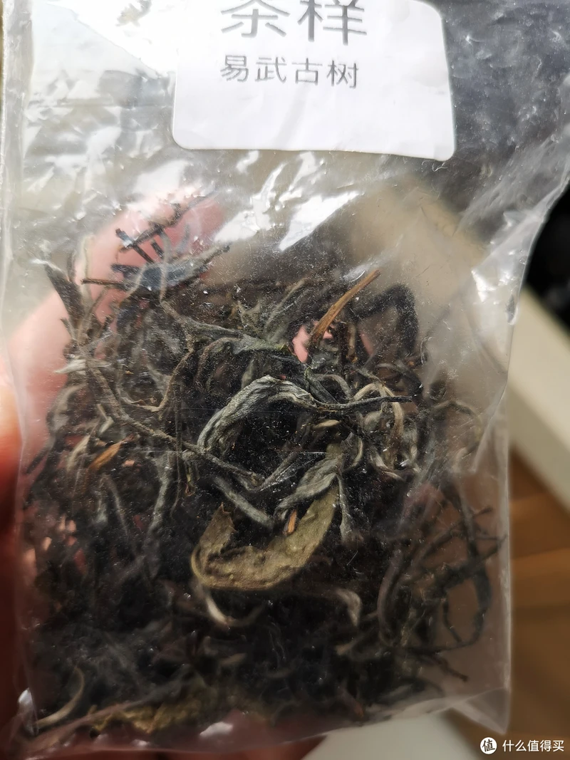 震惊!易武铜箐河殿堂级古树!嘎嘎嘎!