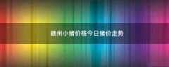 赣州小猪价格今日猪价走势